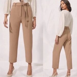 Aritzia Wilfred Seville High-Rise Paperbag Tie-Waist Pants in Camel
